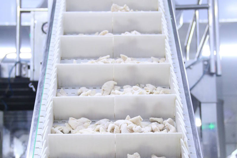 廠(chǎng)房(fáng)廠(chǎng)貌